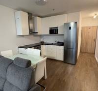 Living room with kitchen, sofa, and wooden decor flooring in a studio apartment.