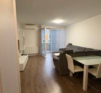 A living room in a studio apartment with a wooden-patterned floor, a gray sofa, and a dining table.