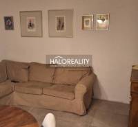 Living room in a three-room apartment with a sofa, wooden decor flooring, and decorative paintings.