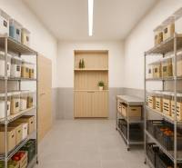Storage spaces with metal shelves and stored food, floor with wooden decor.