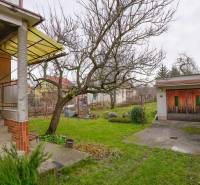 In front of the family house on Nerudova Street in Dubnica nad Váhom, there is a garden with a tree.