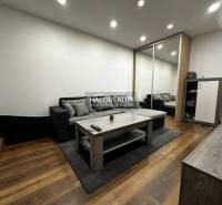Living room in a one-bedroom apartment with wood-patterned flooring, a gray sofa, and a mirrored wardrobe.