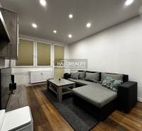 Living room in a studio apartment with wood-patterned flooring and a sofa.