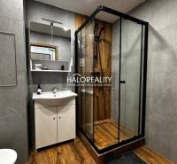 Bathroom in a studio apartment with wood-patterned flooring and a shower corner.