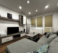 Living room in a studio apartment with a sofa and wood-patterned flooring.