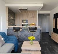 Living room in a two-room apartment with an open kitchen and a wooden decor floor.