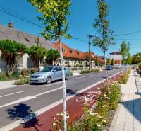 A beautiful street with family houses in Malacky, a cycle path, and well-maintained gardens.