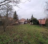 A garden at a family house in Dolný Pial with a lawn and fruit trees.