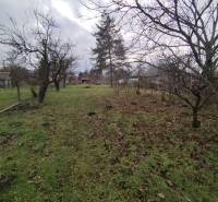The garden at the family house in Dolný Pial with dried trees and a lawn in autumn.