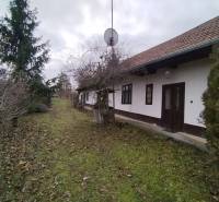 A family house in Dolný Pialy with a lawn and trees in the yard.