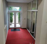 An office interior with a red carpet and glass doors to the outside space.