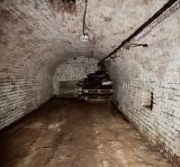 Brick cellar in a family house with stored wood.