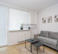 Living room in a one-bedroom apartment with a sofa, coffee tables, and a wooden decor floor.
