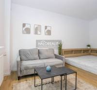 Interior of a 1-room apartment with a sofa, bed, and wooden decor flooring.