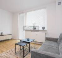 Living area in a studio apartment with a sofa and wood-patterned flooring.