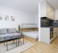 1-bedroom apartment with a kitchenette, gray sofa, and wood-patterned flooring.
