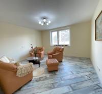 Living room with a brown sofa and wood-patterned flooring in a family house.