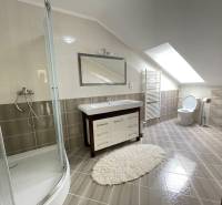A bathroom in a family house with a large mirror, a shower corner, and tiles.