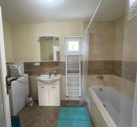 The bathroom in the family house includes a bathtub, a washing machine, a sink, and a tiled floor.