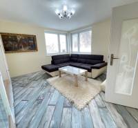 Living room in a family house with a sofa, carpet, and wooden decor flooring.