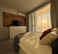 Bedroom in a one-room apartment with wood-patterned flooring and a view of the balcony.