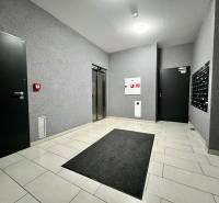 Apartment entrance on Yellow Street in Bratislava - Petržalka with elevators and mailboxes.