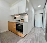 A kitchen in a studio apartment with a wood-patterned floor and white cabinets.