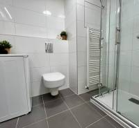 Bathroom with a washing machine, shower corner, and wall-hung toilet in a studio apartment.