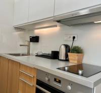 Kitchen unit in a studio apartment with a wood decor and appliances.