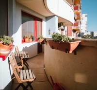 A balcony of a 3-room apartment with folding chairs and potted plants.