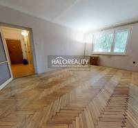 Living room in a three-room apartment with a wood-patterned floor, large window, open doors.