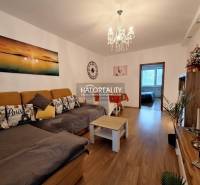 Living room in a three-room apartment with a sofa and a wooden decor floor.
