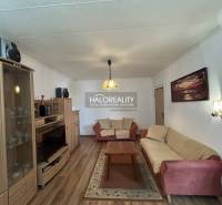 Living room in a two-room apartment with a sofa, wooden decor flooring, and furniture.