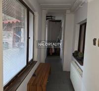 A narrow hallway in a family house with flowers, a wooden bench, and large windows.