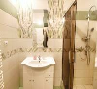 A bathroom in a 3-room apartment with a floor in green and white decor and a shower corner.