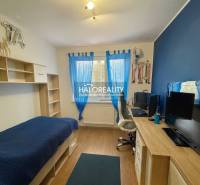 A room in a 3-room apartment with wooden decor, a desk, and blue curtains.