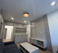 Living room in a three-room apartment with a wooden decor floor and simple furnishings.