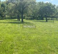 Greenery on a plot with trees, suitable for living, offered by Haloreality.
