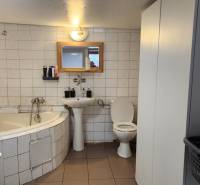 A bathroom in a family house with a shower, toilet, and storage space.