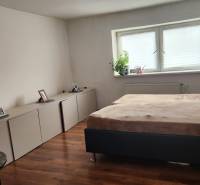 A bedroom in a family house with a bed, wardrobes, a plant, and a floor with a wooden decor.