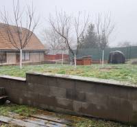 The garden of a family house in Brestovany, a low fence, several trees, and a grassy area.