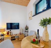 Recreational apartment with a TV, lamp, flower in a vase, and floor with wood decor.