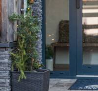 Entrance to a recreational apartment on Do doliny street in Liptovský Mikuláš with stones and plants.