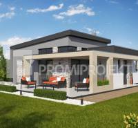 The family house in Štvrtok has a terrace, stone cladding, and a landscaped garden.