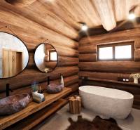Bathroom made of wood, stone sinks, bathtub, mirrors; House construction.