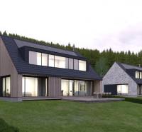 Design houses with sloped roofs and large windows in development plots in Tajov.