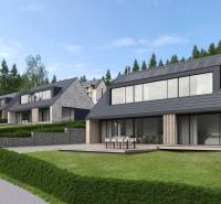 Visualization of modern houses on development plots in Tajov surrounded by forest.