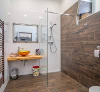 Bathroom with wooden paneling and a modern shower, part of a 4-room apartment on Hviezdoslavova Street.