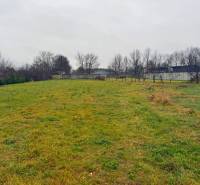 A spacious grassy plot for living in Pribeta with a view of trees and shrubs.