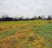 Extensive plots suitable for living in Pribeta, surrounded by trees, are waiting for new use.